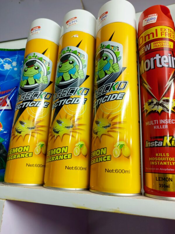 MR GECKO INSECTICIDE