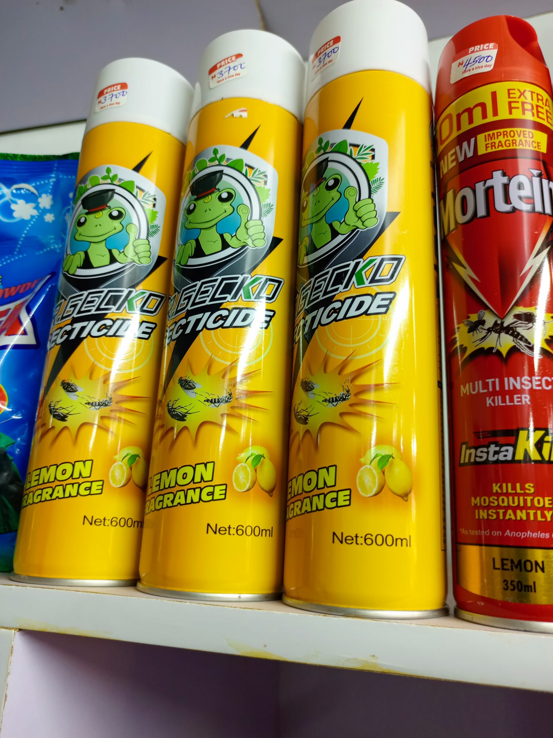 MR GECKO INSECTICIDE