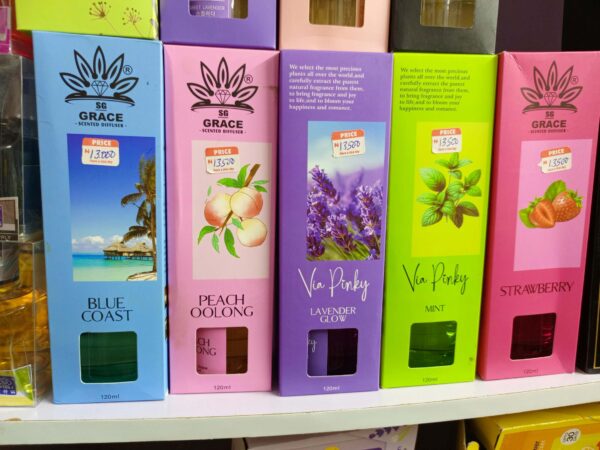 REED DIFFUSER BIG