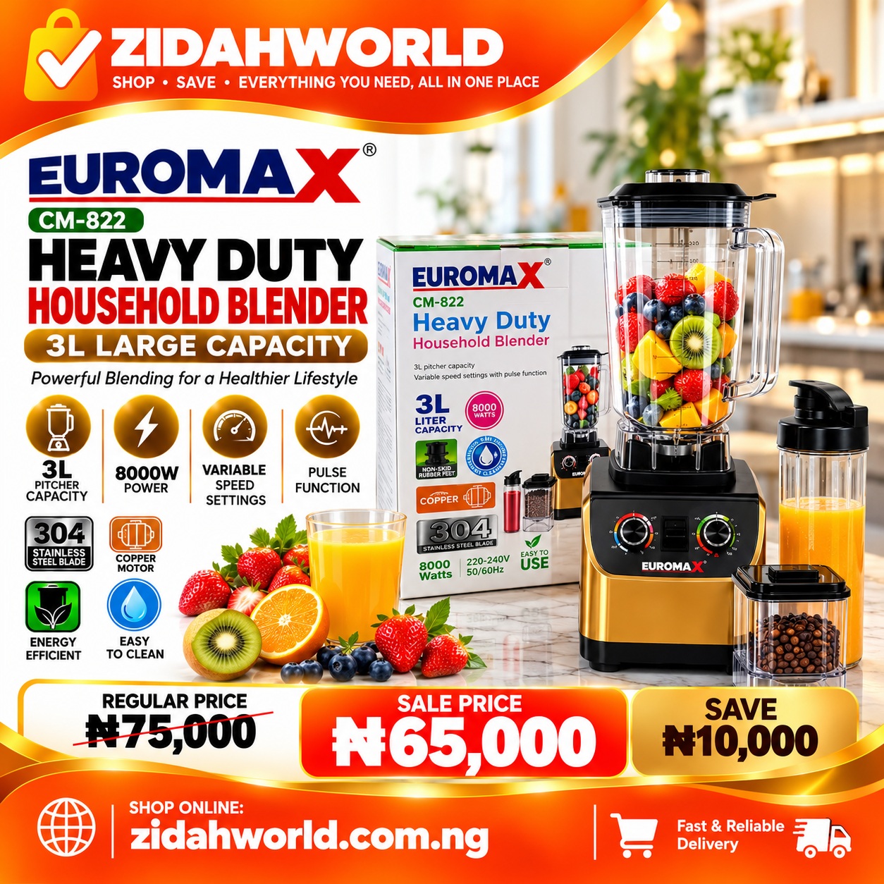 Euromax Heavy-Duty Household Blender – Variant