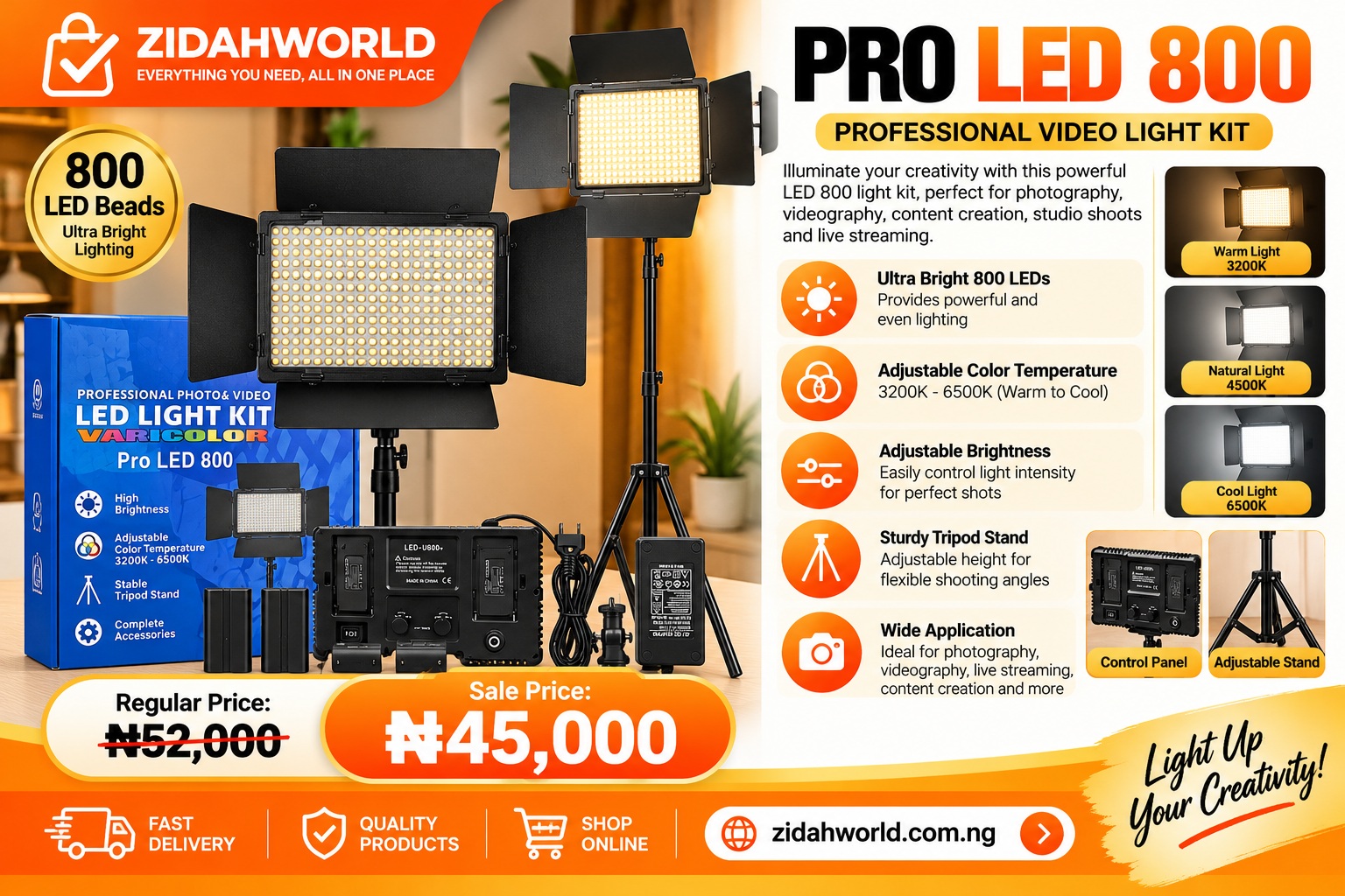 PRO LED 800 Professional Video Light Kit