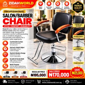 Professional Salon Barber Chair Black