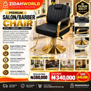 Premium Salon/Barber Chair - Black & Gold